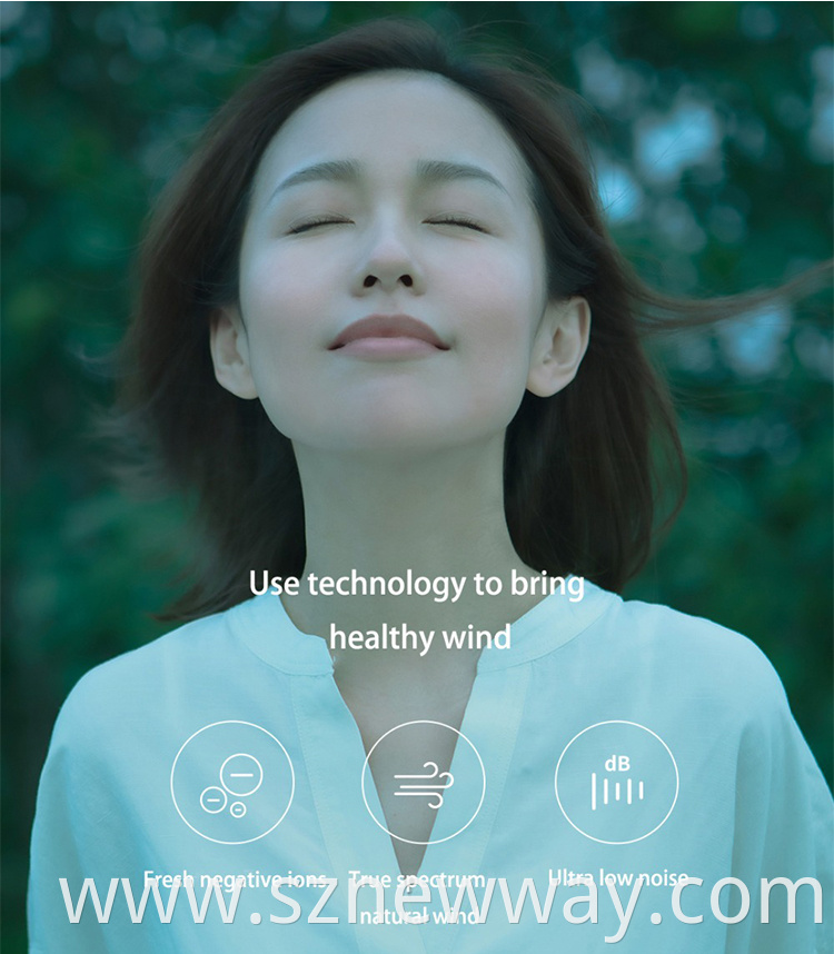 Smartmi Fan 3